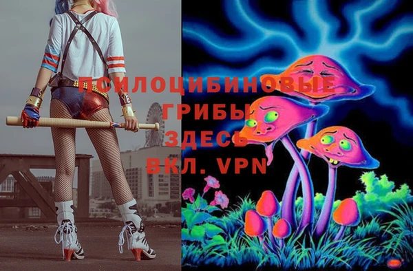 ешки Карпинск