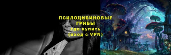 ешки Карпинск