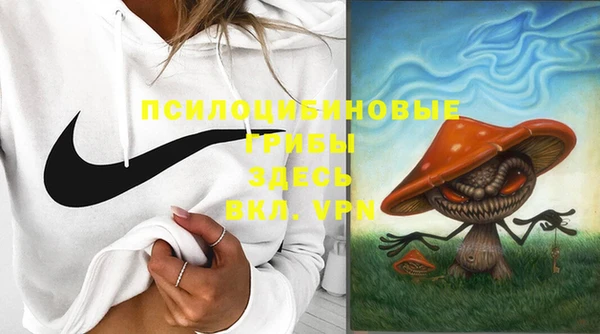 ешки Карпинск