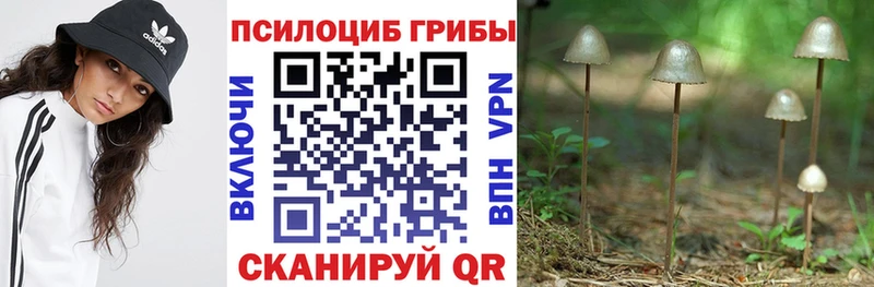 Купить  Ачхой-Мартан  Галлюциногенные грибы Cubensis 